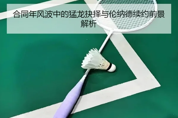 合同年风波中的猛龙抉择与伦纳德续约前景解析